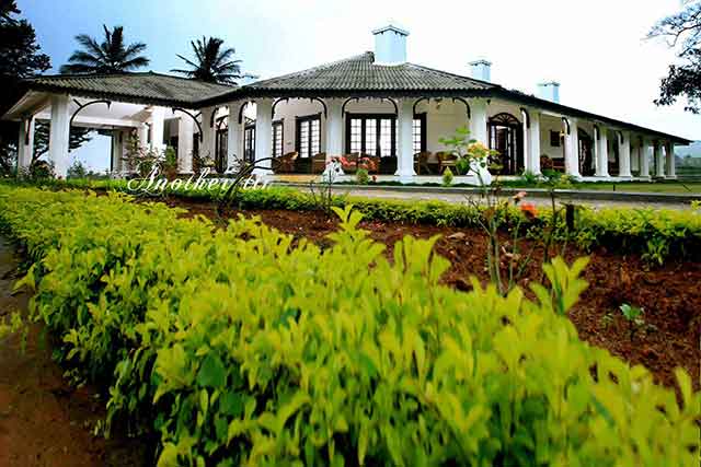 parisons plantation experiences wayanad