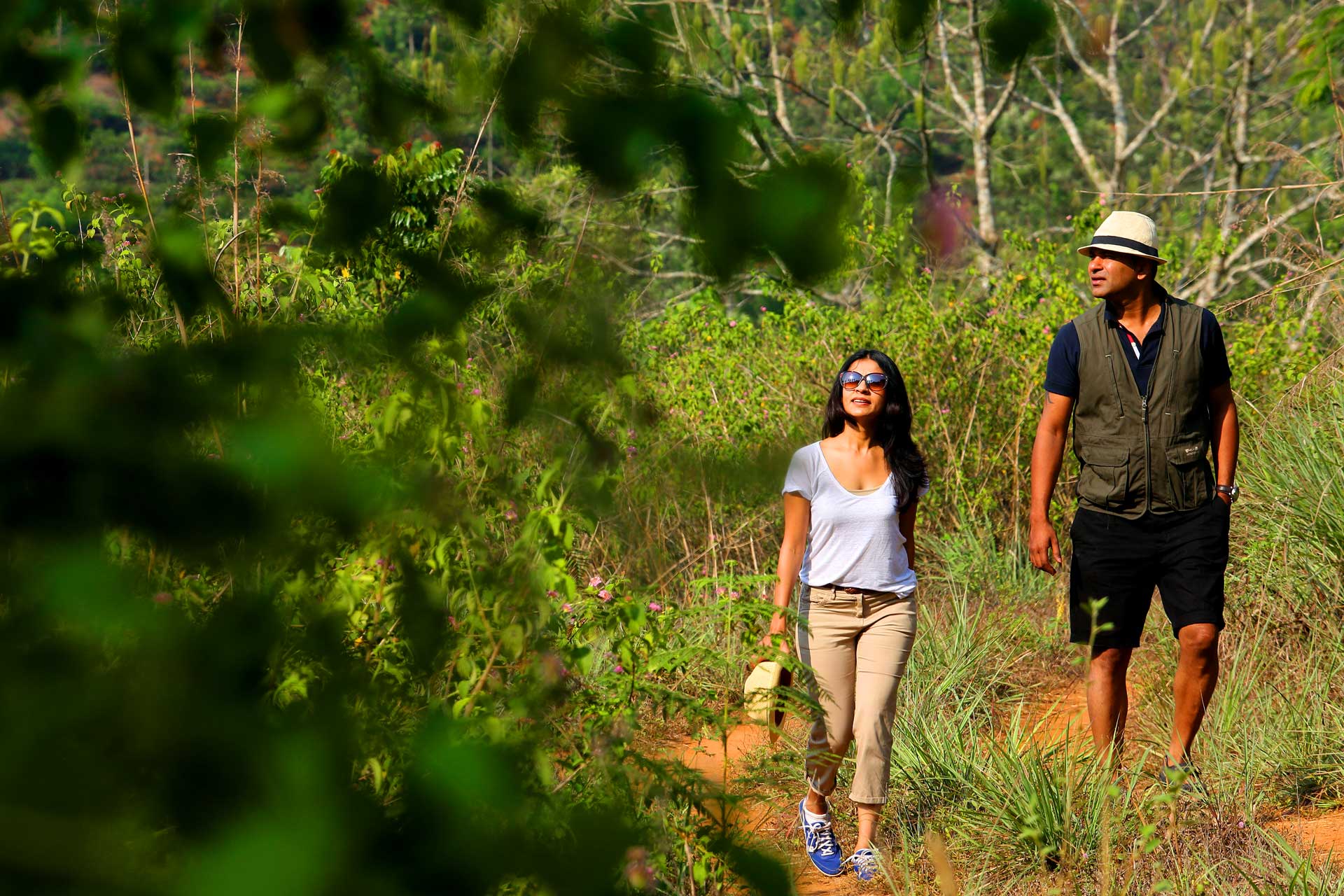 plantation experiences mountain walk